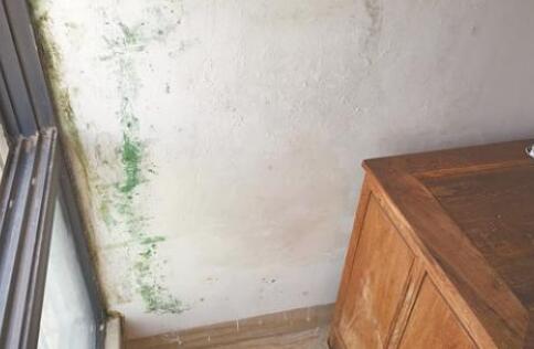 金屬屋面檐口滲水應該怎么解決？家用防水涂料這幾點一定要注意