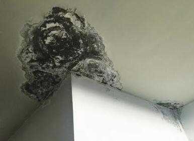 屋面漏水是由什么原因造成的？地震對(duì)于防水層的影響大么？