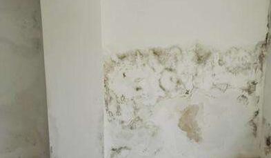 金屬屋面檐口滲水應該怎么解決？家用防水涂料這幾點一定要注意